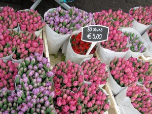 Tulips at the Amsterdam flower market
