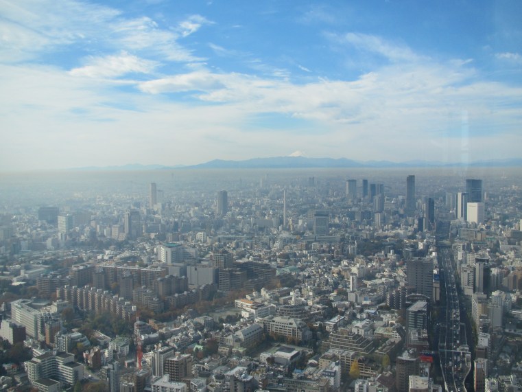 Mori Tower View