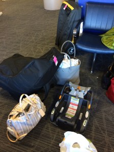 gate-checking stroller